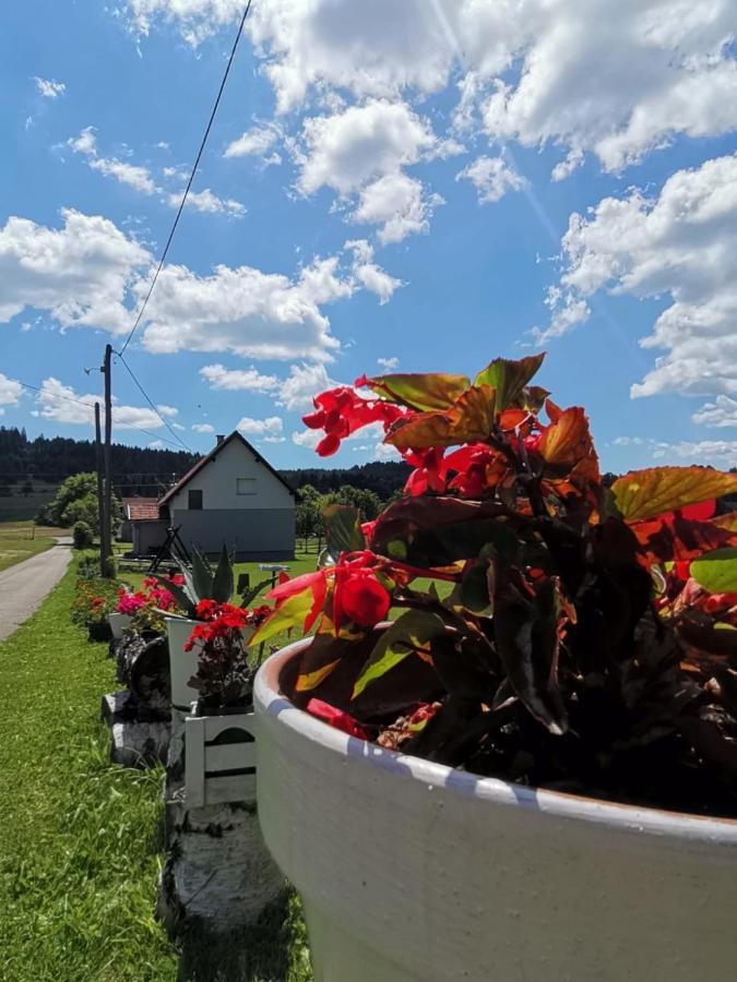 Kuca Za Odmor Roby Apartamento Saborsko Exterior foto