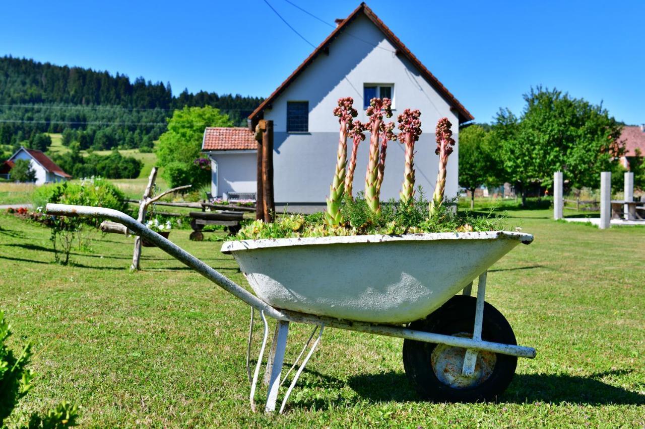 Kuca Za Odmor Roby Apartamento Saborsko Exterior foto